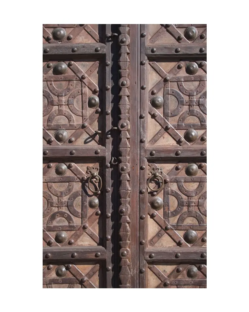 Gran Puerta India del Siglo XIX, Puertas y Arquitectónico, Siglo XIX · vista 3/14