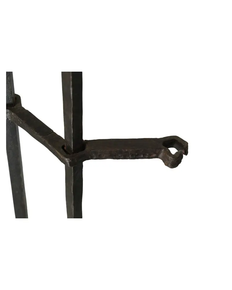 Reja de Hierro del Siglo XIX con Motivos Decorativos, Herrería y Metal, Siglo XIX · vista 10/11