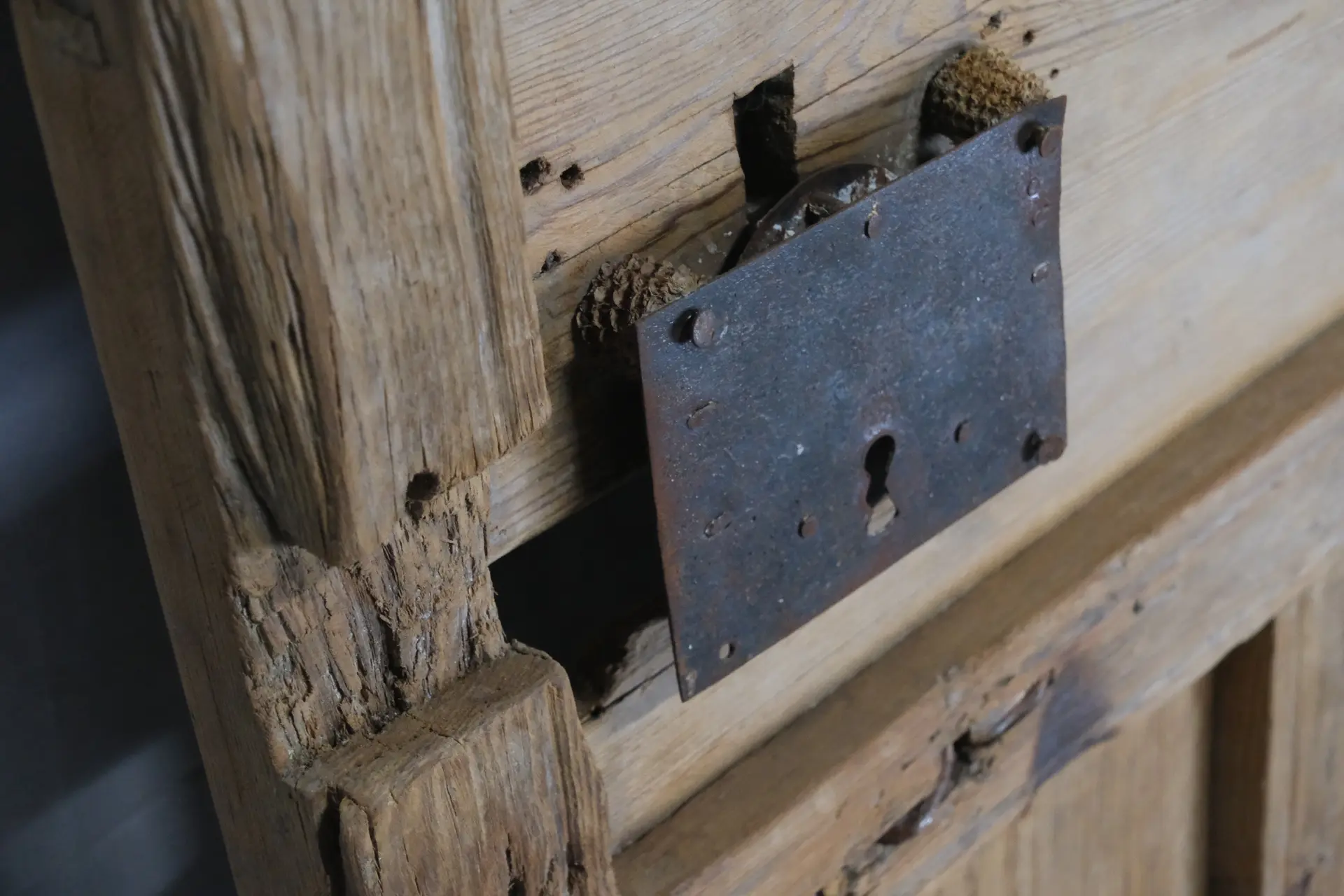 Puerta de Cuarterones del Siglo XVIII en Pino, Puertas y Arquitectónico, Siglo XVIII · vista 12/12