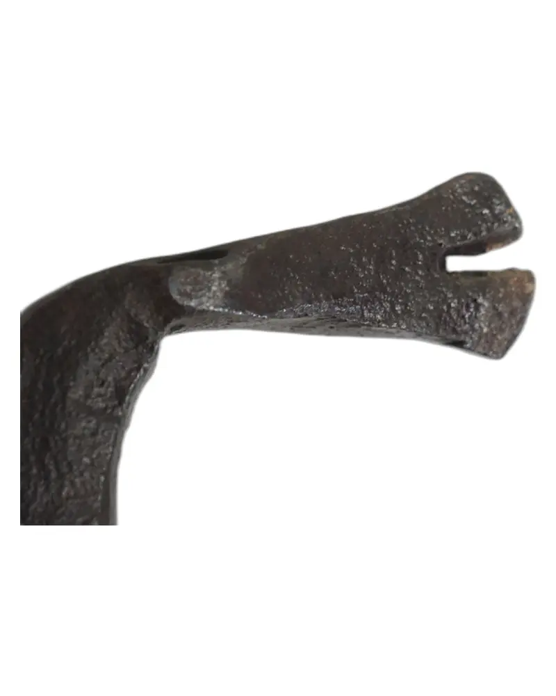 Hierro de Pozo Gaditano del Siglo XVII, Cabeza de Serpiente, Herrería y Metal, Siglo XVII · vista 8/9