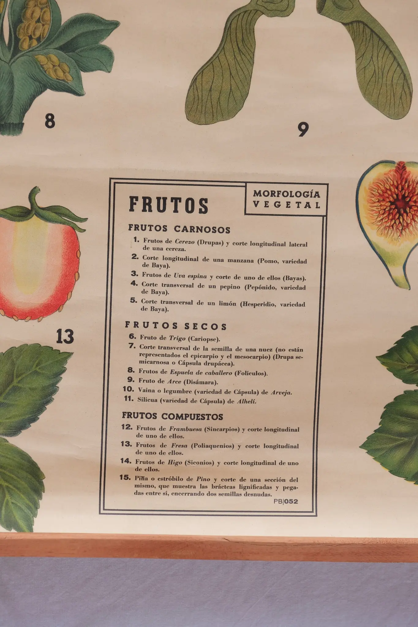 Botanical Poster Fruits Antonio Vallardi - 2/6