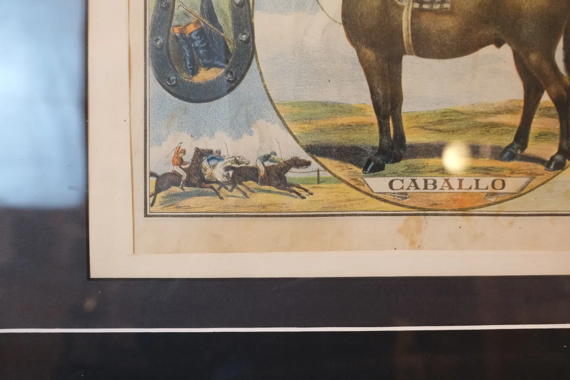 Grabado de Caballo del Siglo XIX en Marco de Madera · vista 6/6