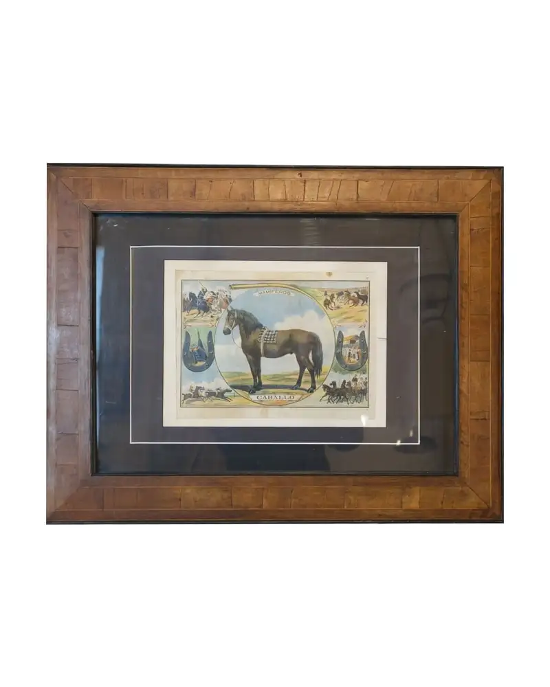 Grabado de Caballo del Siglo XIX en Marco de Madera