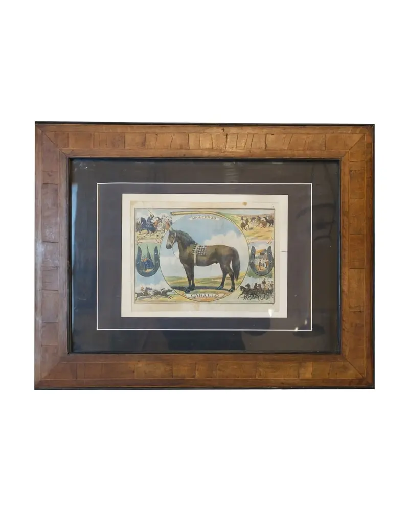 Grabado de Caballo del Siglo XIX en Marco de Madera
