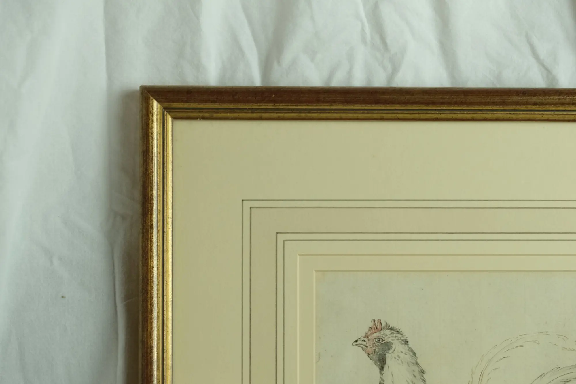 Grabado de Gallina del Siglo XVIII en Marco Dorado, Arte y Pintura, Siglo XVIII · vista 2/6