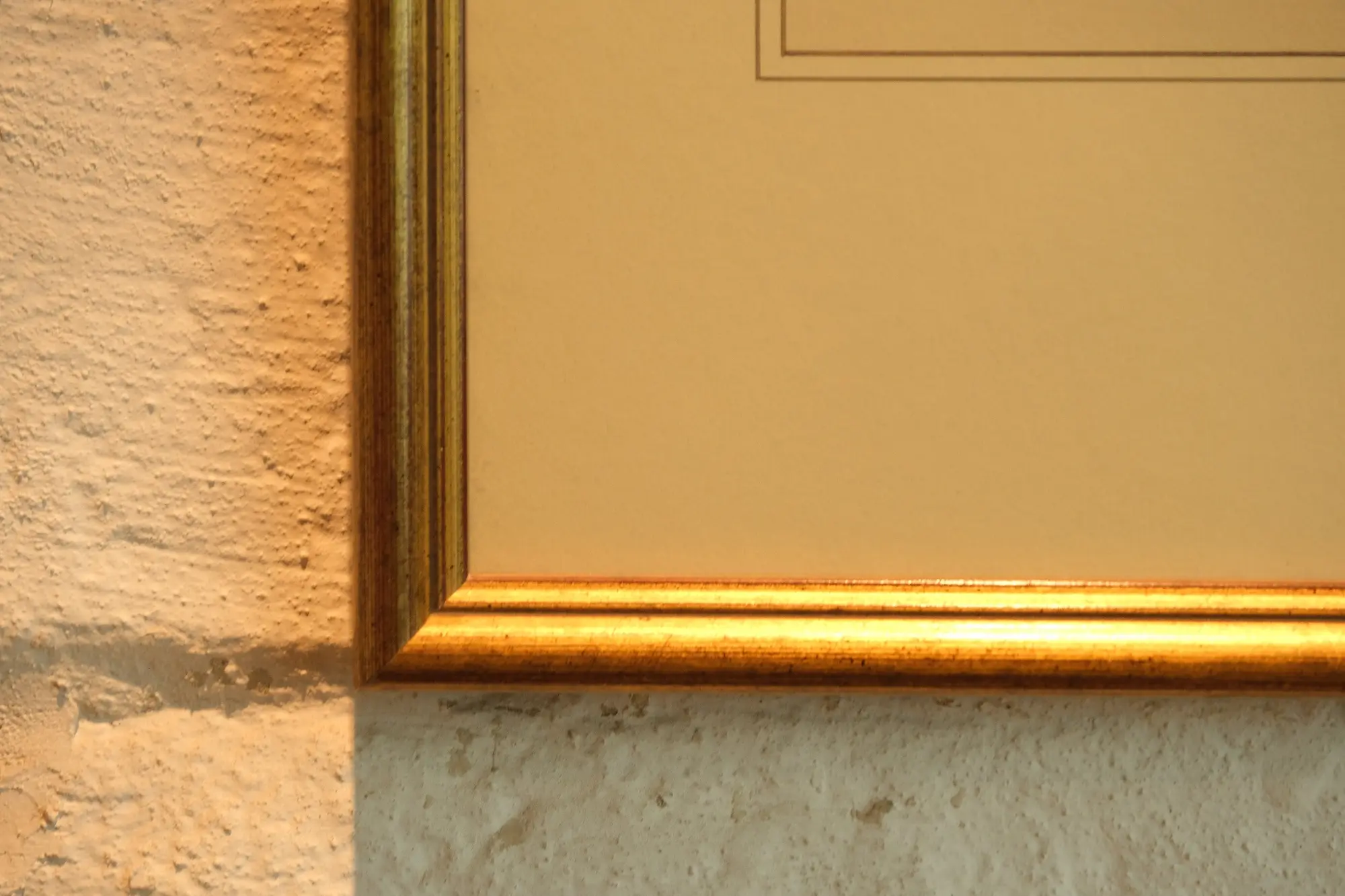 Grabado de Ave en Marco Dorado del Siglo XIX, Arte y Pintura, Siglo XIX · vista 5/7