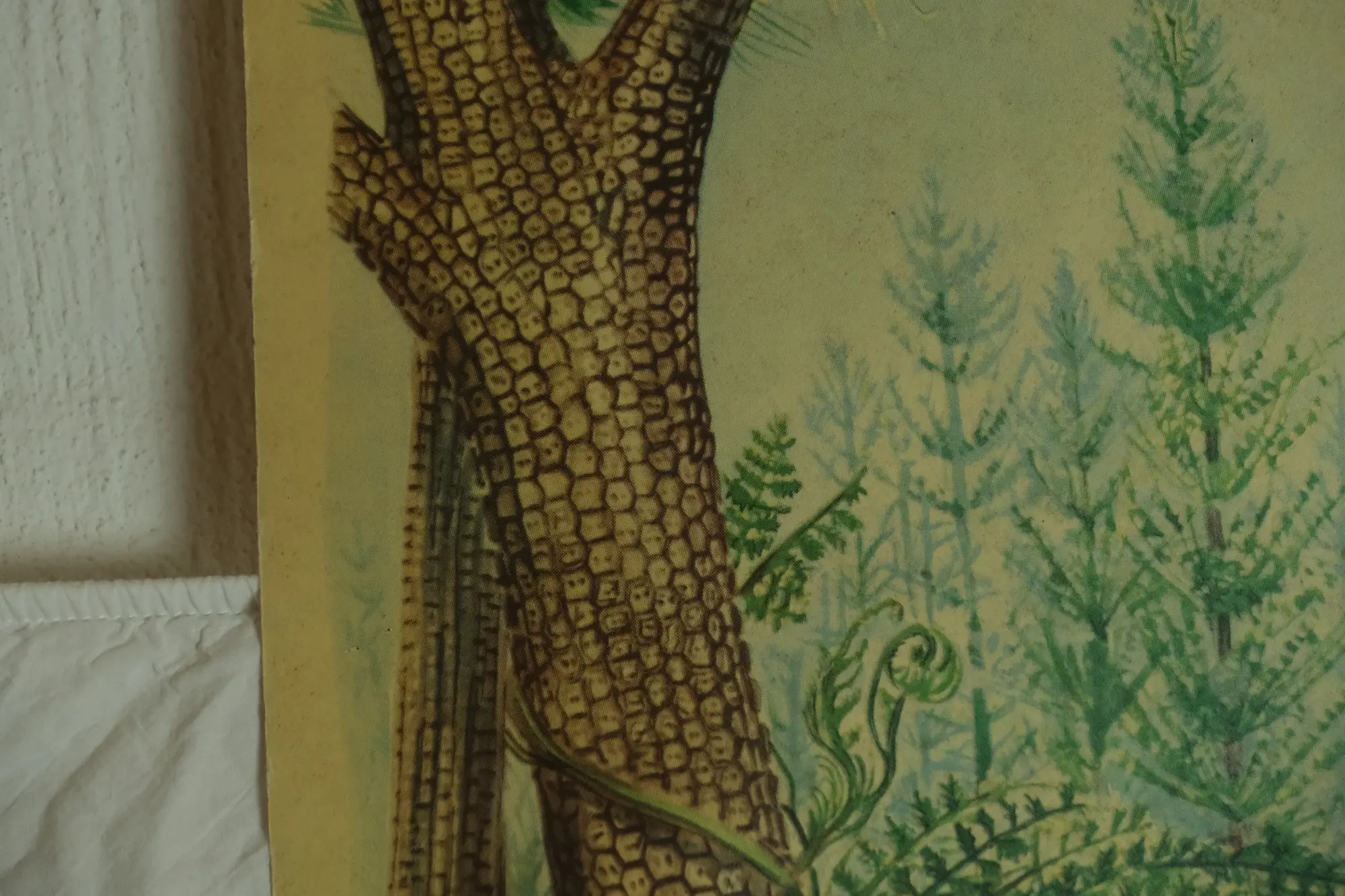 Póster Educativo del Siglo XX Sobre Bosque de Carbón, Objetos Decorativos, Primera mitad del siglo XX · vista 6/9