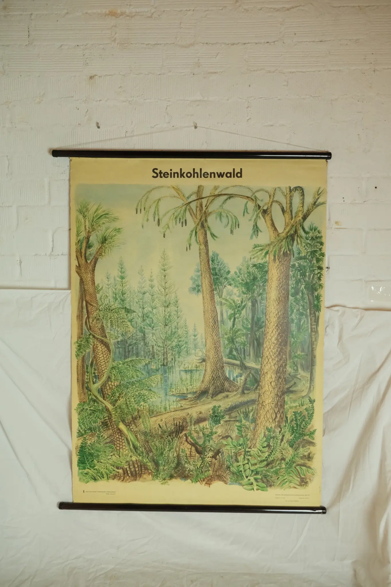 Póster Educativo del Siglo XX Sobre Bosque de Carbón, Objetos Decorativos, Primera mitad del siglo XX · vista 5/9