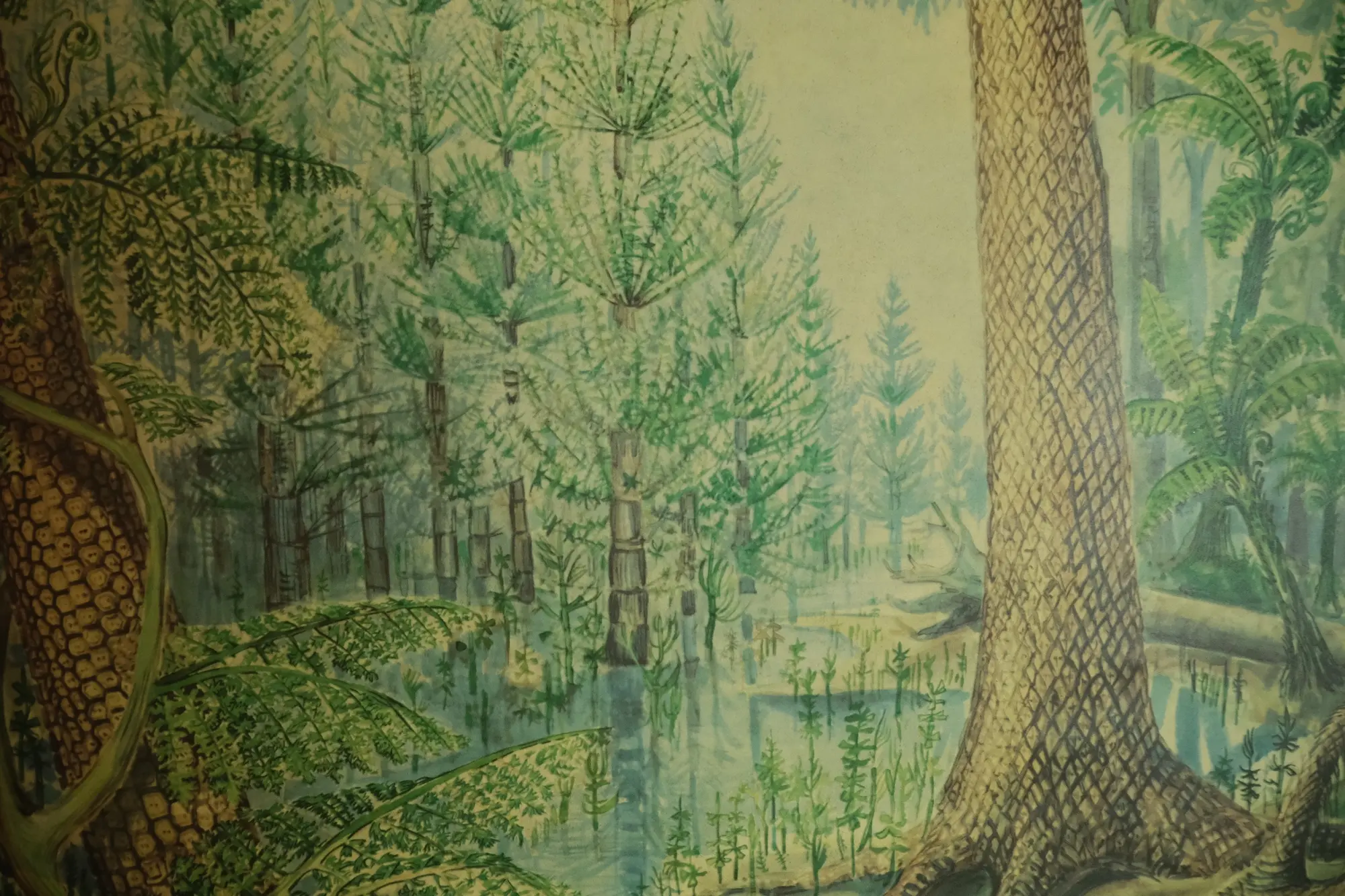 Póster Educativo del Siglo XX Sobre Bosque de Carbón, Objetos Decorativos, Primera mitad del siglo XX · vista 3/9