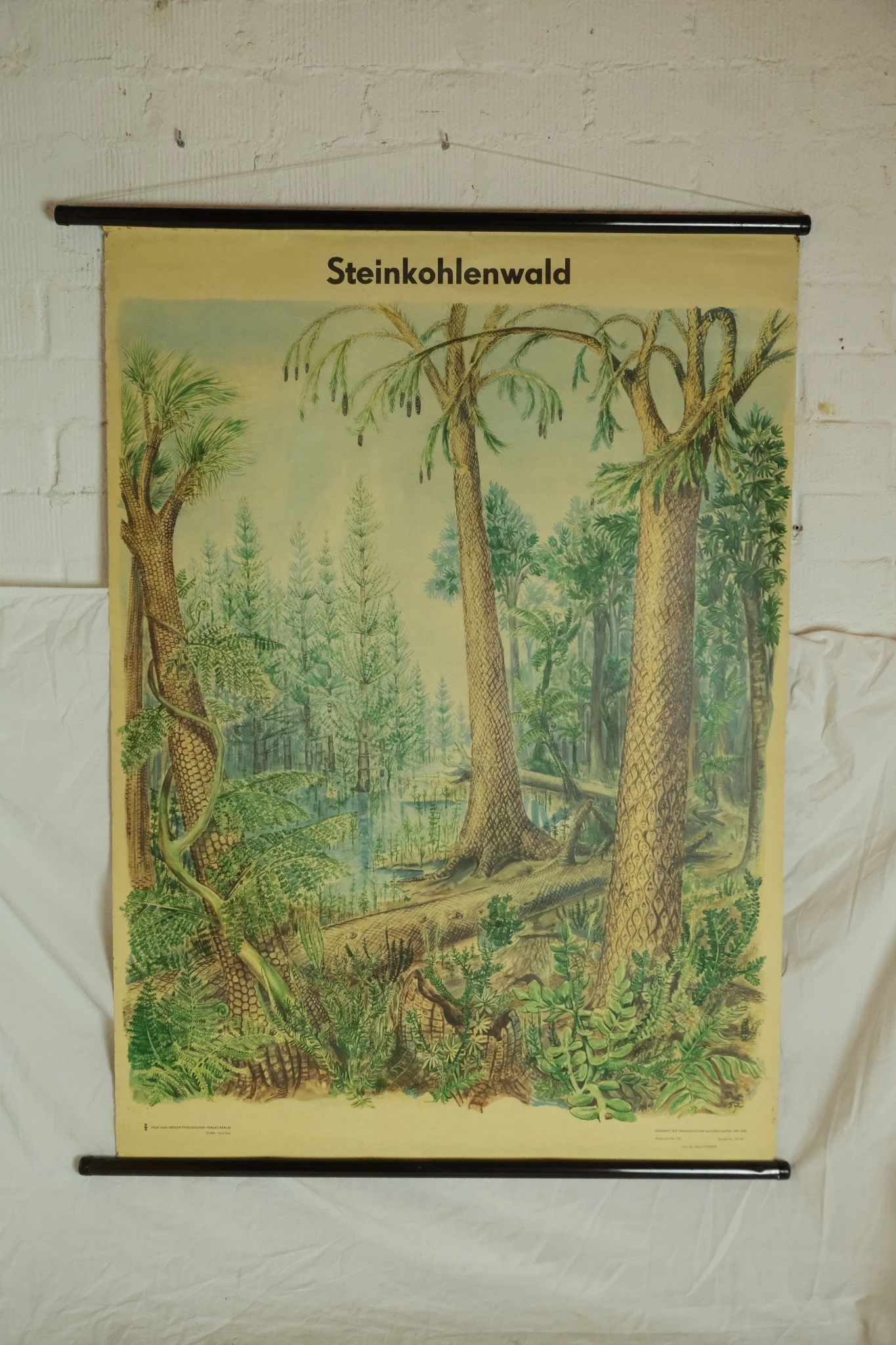Póster Educativo del Siglo XX Sobre Bosque de Carbón, Objetos Decorativos, Primera mitad del siglo XX