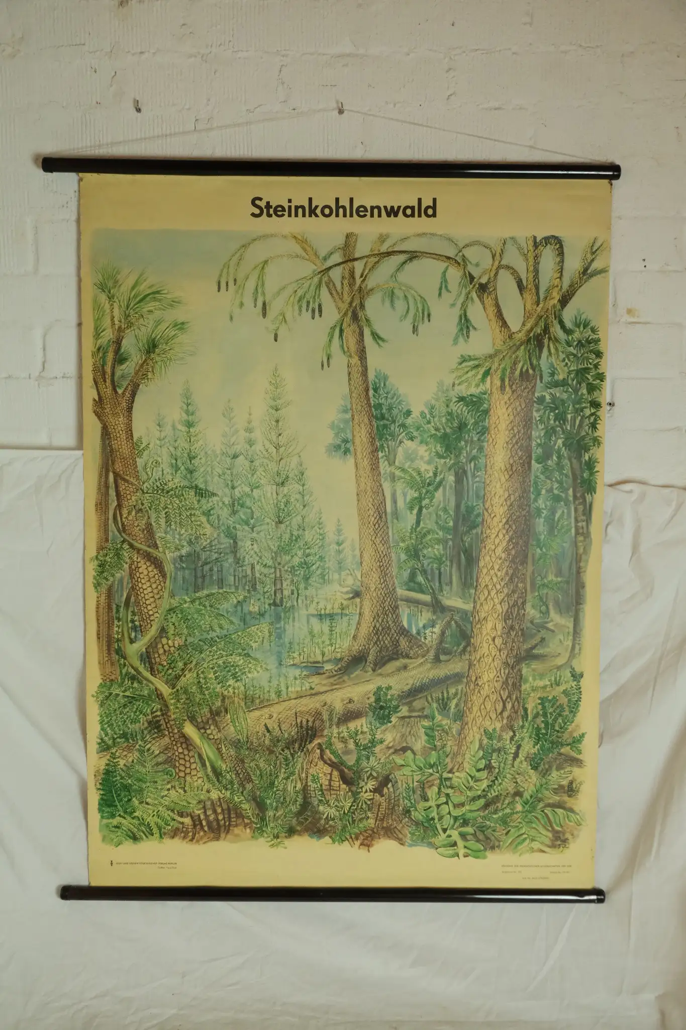 Póster Educativo del Siglo XX Sobre Bosque de Carbón