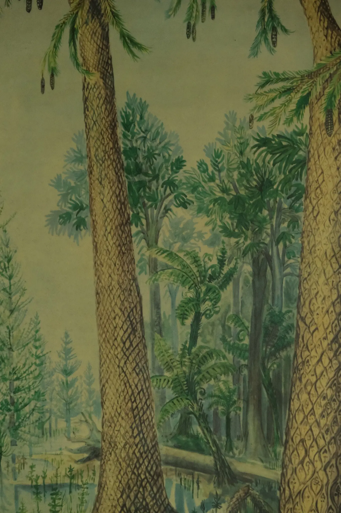 Póster Educativo del Siglo XX Sobre Bosque de Carbón, Objetos Decorativos, Primera mitad del siglo XX · vista 9/9