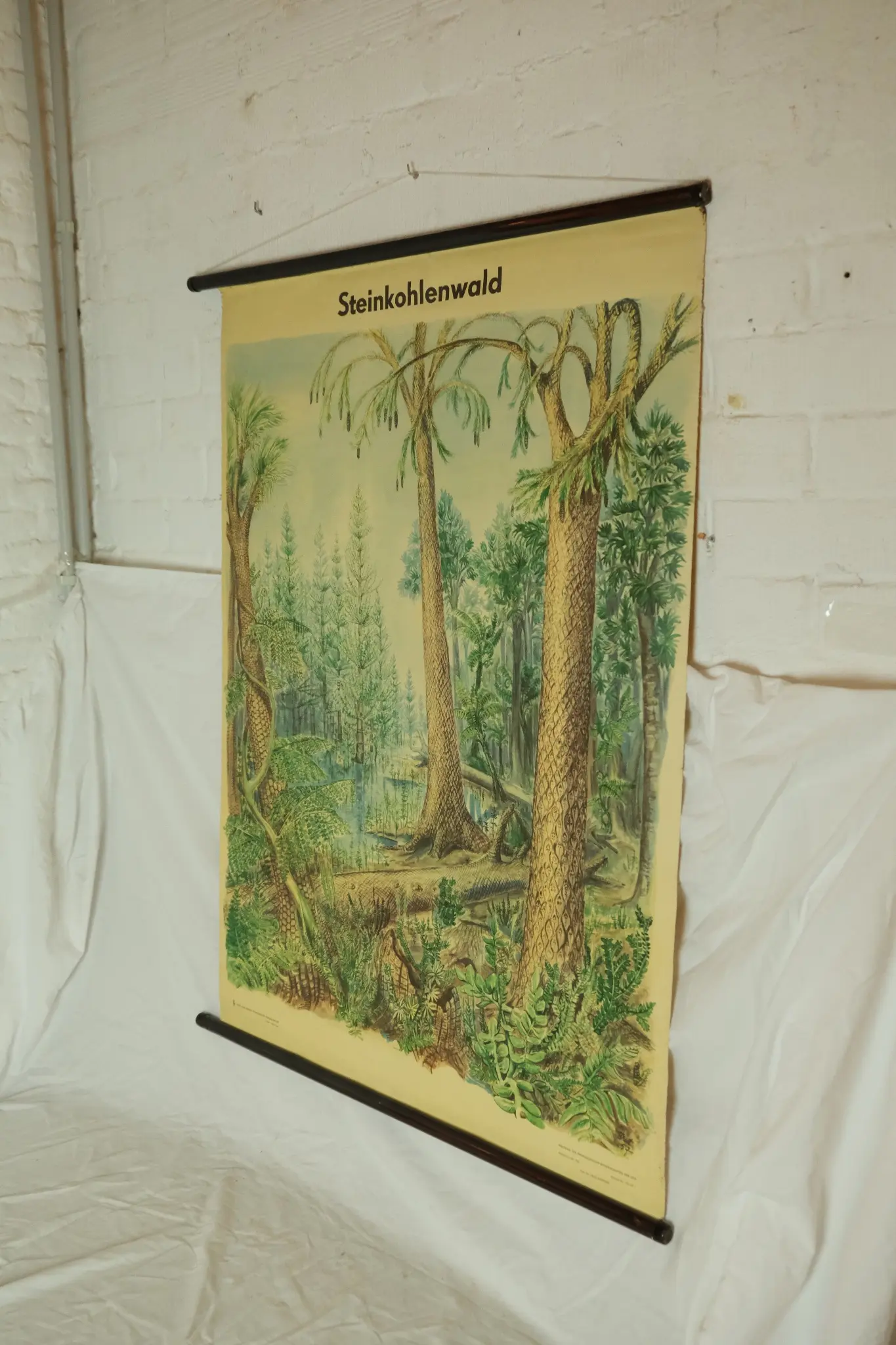 Póster Educativo del Siglo XX Sobre Bosque de Carbón, Objetos Decorativos, Primera mitad del siglo XX · vista 4/9