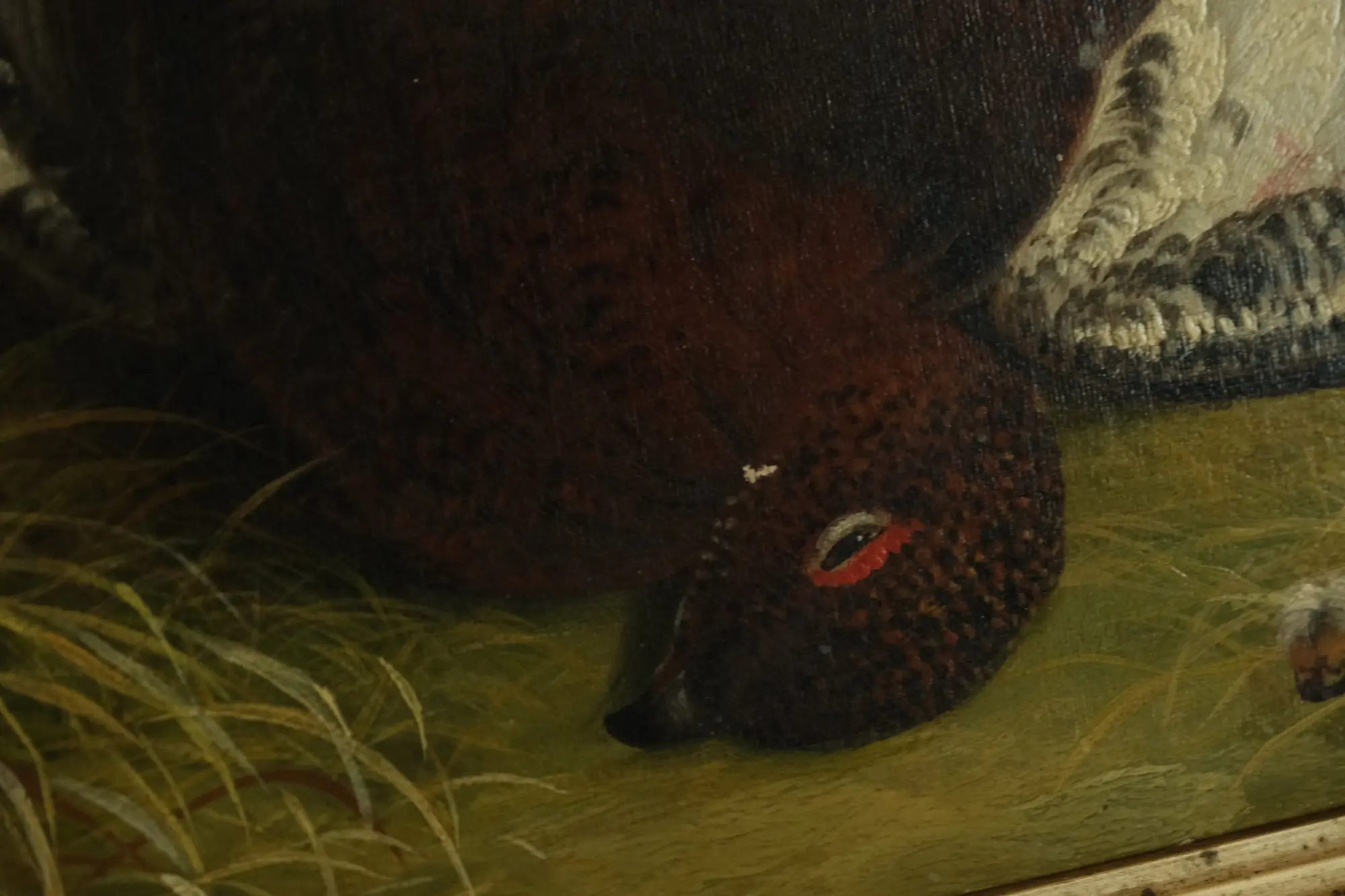 Pintura del Siglo XIX de Pájaro en Paisaje Natural, Arte y Pintura, Siglo XIX · vista 4/9
