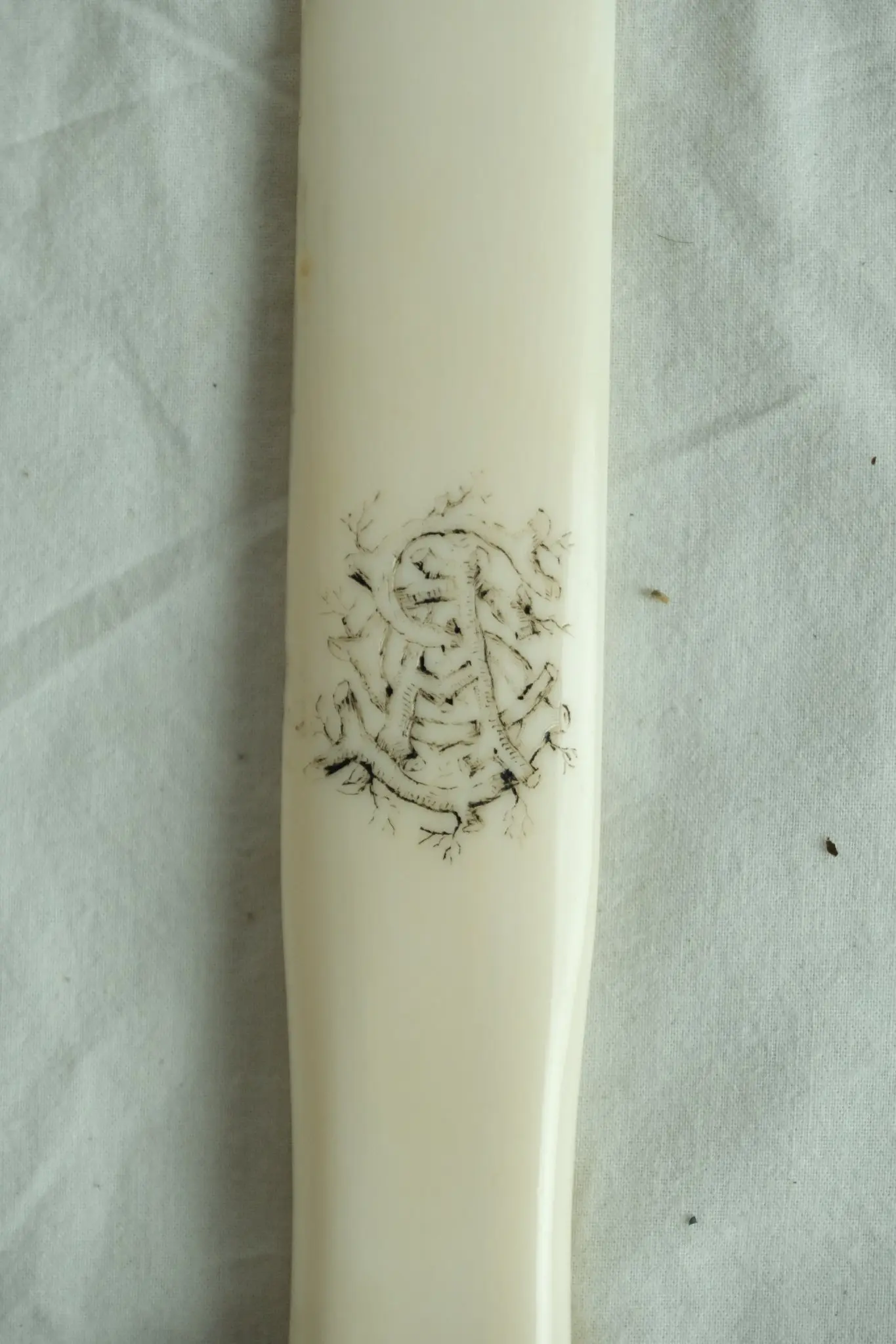 Cuchillo de Carta del Siglo XIX en Marfil, Objetos Decorativos, Siglo XIX · vista 5/5