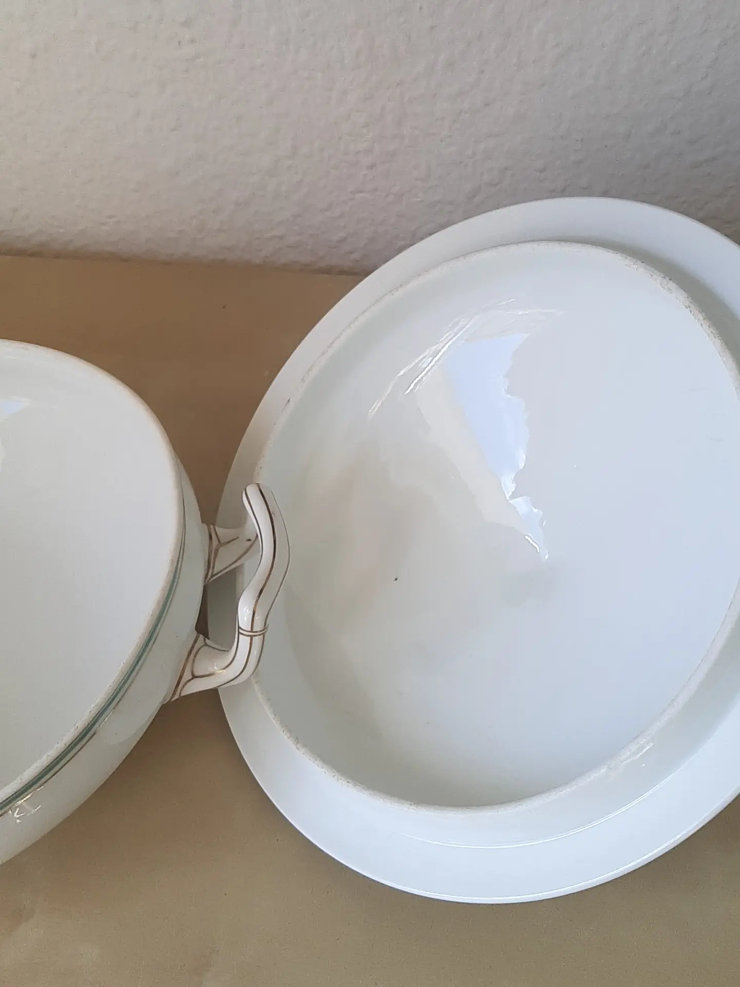 Tesera de Verduras Francesa de Porcelana Siglo XIX · vista 3/4