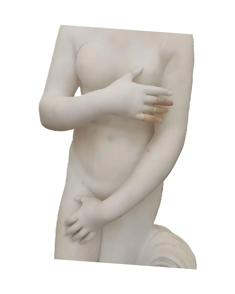 19th Century Marble Sculpture of Venus de Medici - 4/6