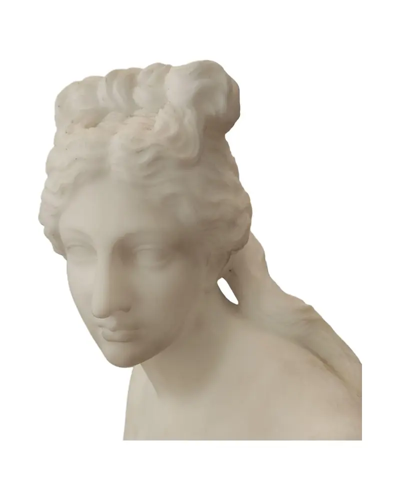 19th Century Marble Sculpture of Venus de Medici - 2/6