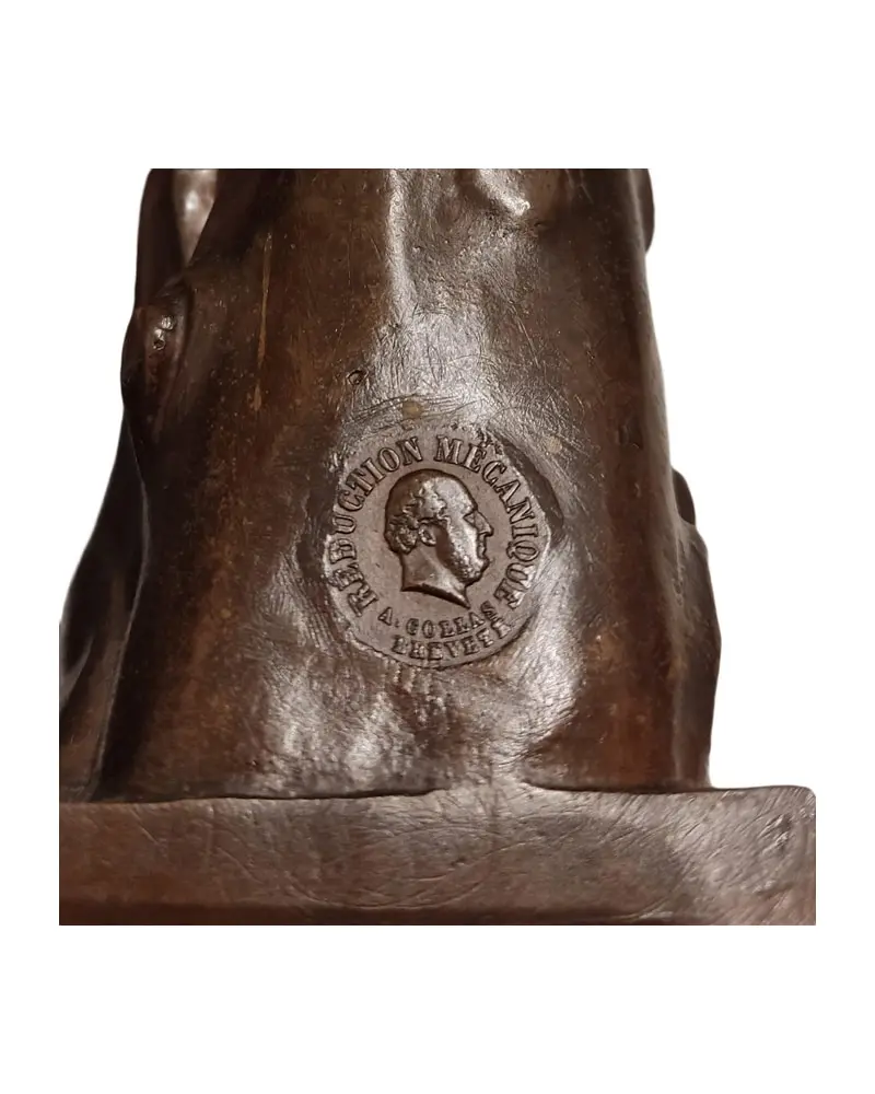 Wounded Amazon Sculpture from the 19th Century in Bronze - 4/7