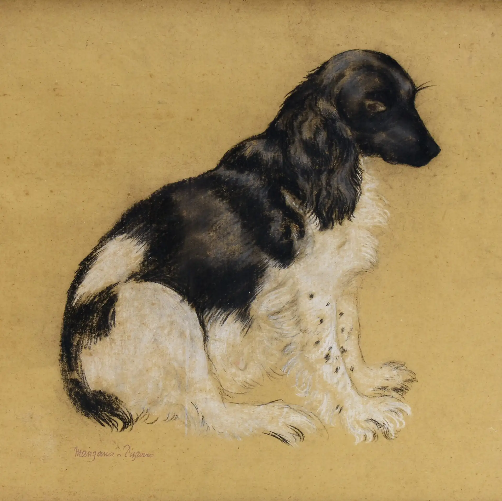 Manzana-Pissarro – Spaniel