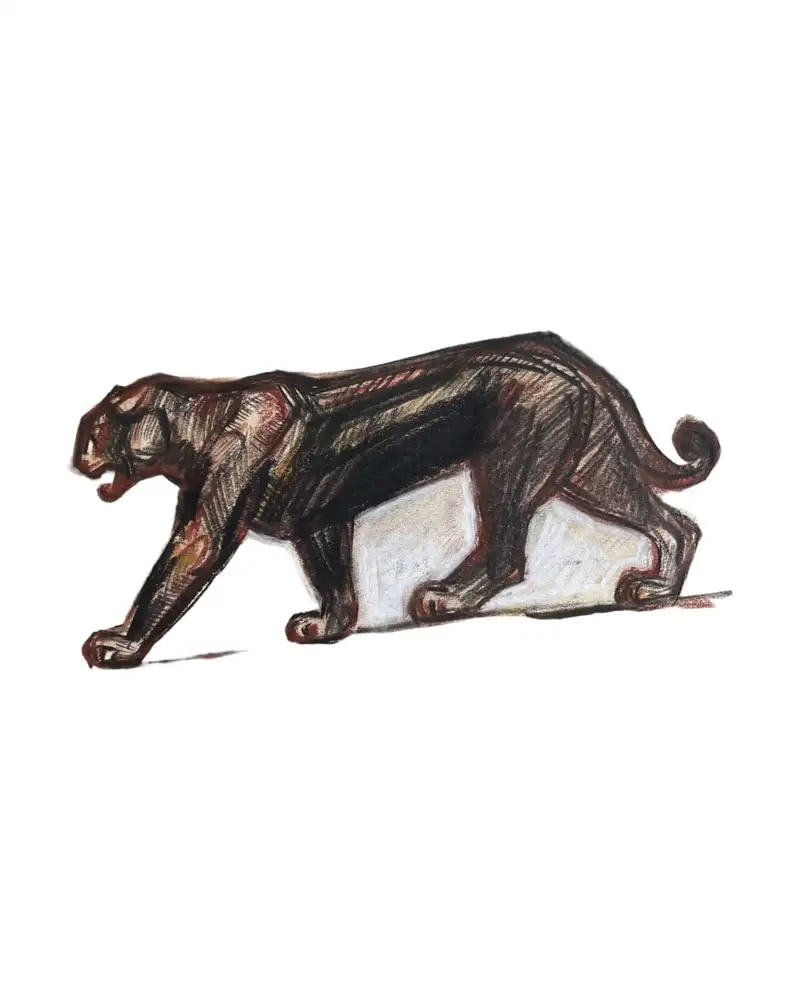 Drawing of Panthera from the 20th Century by Jean Royer
