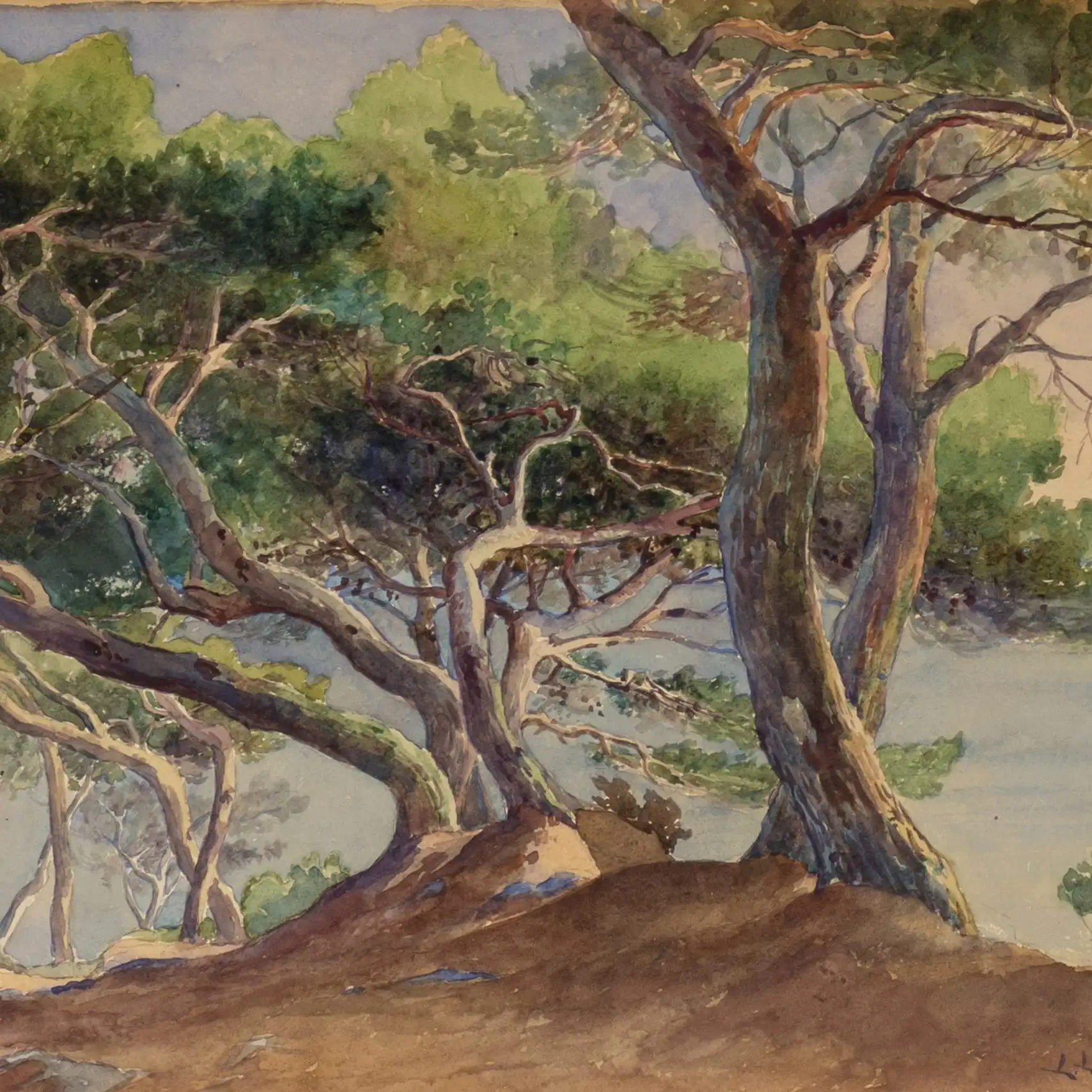 Lamontagne – Pine Trees on the Beach