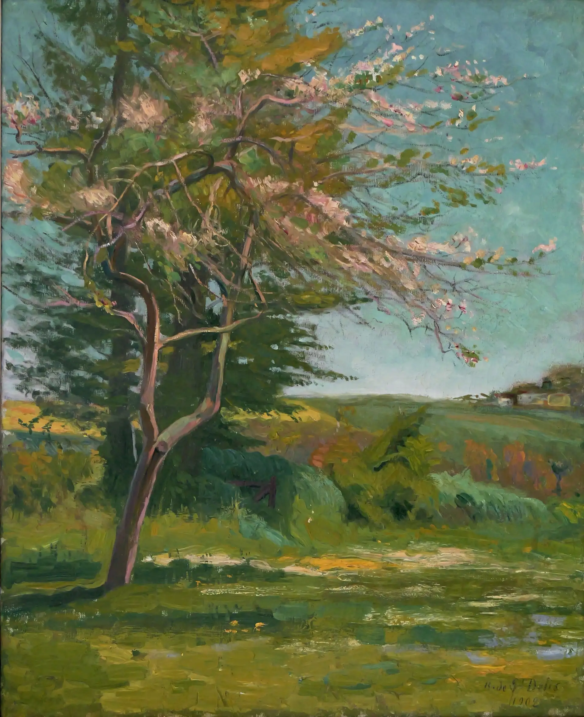 Saint-Delis – Blühender Baum