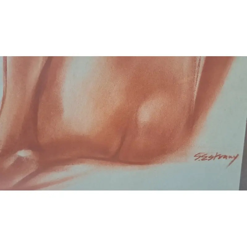 Dibujo, Santiago Estrany i Castany (Mataró 1923–2013) hijo de Rafael Estrany · vista 5/10