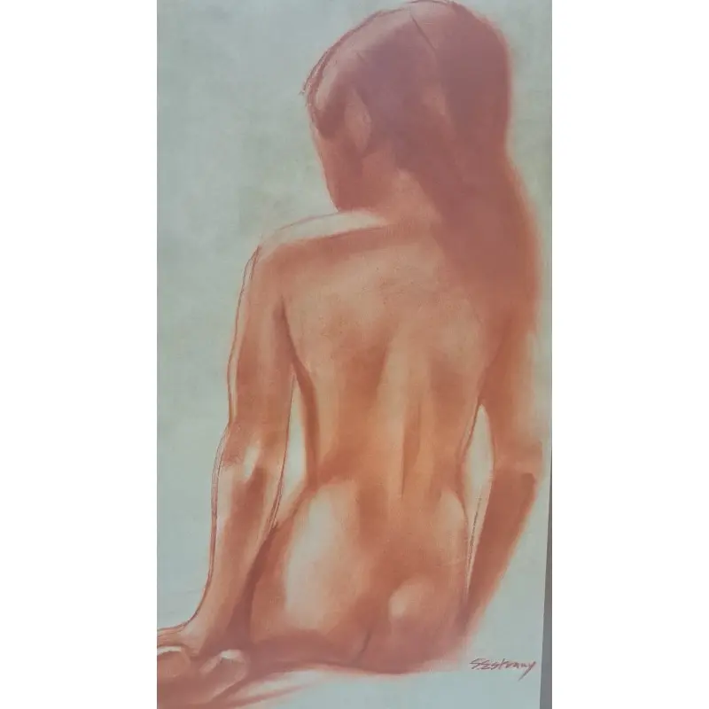 Dibujo, Santiago Estrany i Castany (Mataró 1923–2013) hijo de Rafael Estrany · vista 8/10