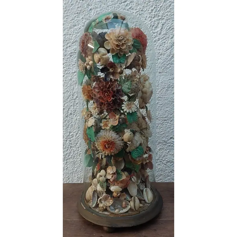 Fanal de Cristal con Composición de Flores y Conchas Siglo XIX, Siglo XIX · vista 8/10