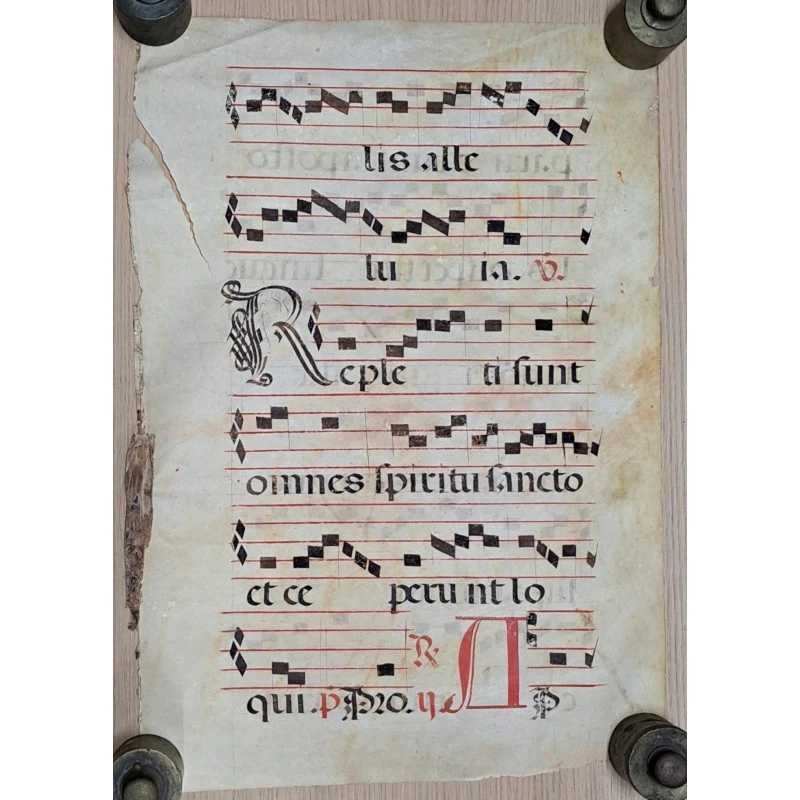 Hoja de pergamino con notación gregoriana. Siglo XV–XVI, Siglo XV