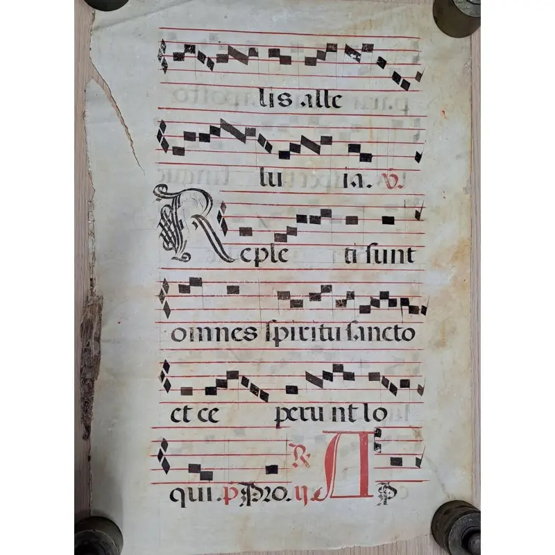 Hoja de pergamino con notación gregoriana. Siglo XV–XVI, Siglo XV · vista 2/10
