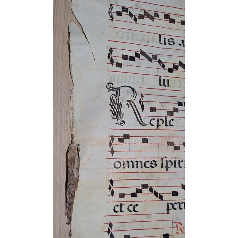 Hoja de pergamino con notación gregoriana. Siglo XV–XVI, Siglo XV · vista 3/10