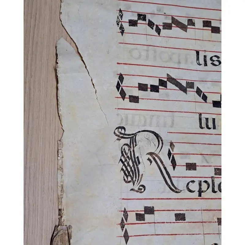 Hoja de pergamino con notación gregoriana. Siglo XV–XVI, Siglo XV · vista 5/10