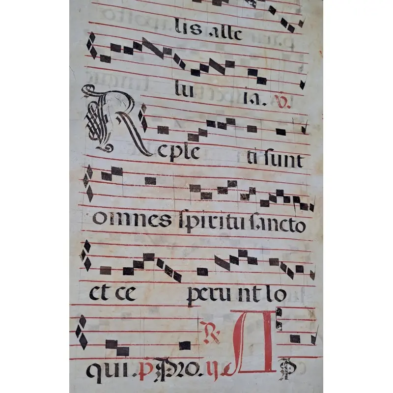 Hoja de pergamino con notación gregoriana. Siglo XV–XVI, Siglo XV · vista 6/10
