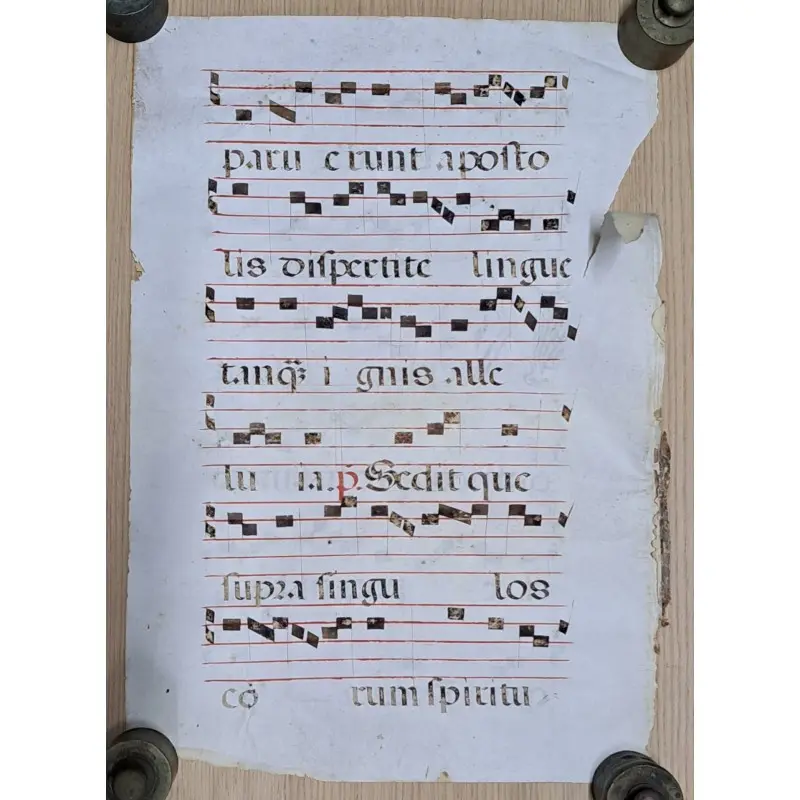 Hoja de pergamino con notación gregoriana. Siglo XV–XVI, Siglo XV · vista 7/10