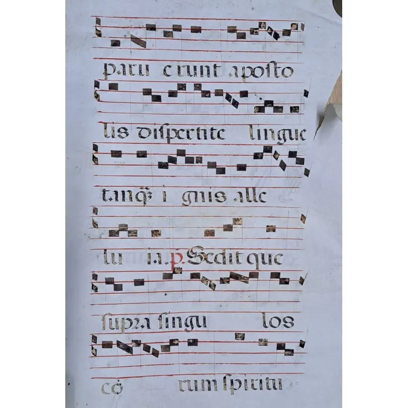 Hoja de pergamino con notación gregoriana. Siglo XV–XVI, Siglo XV · vista 8/10