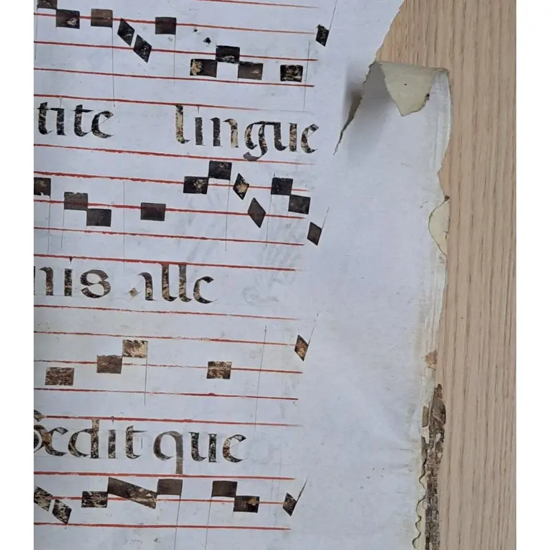 Hoja de pergamino con notación gregoriana. Siglo XV–XVI, Siglo XV · vista 9/10