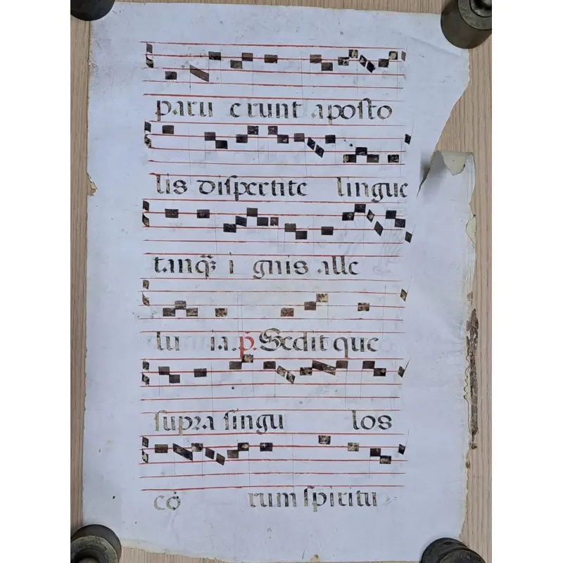 Hoja de pergamino con notación gregoriana. Siglo XV–XVI, Siglo XV · vista 10/10