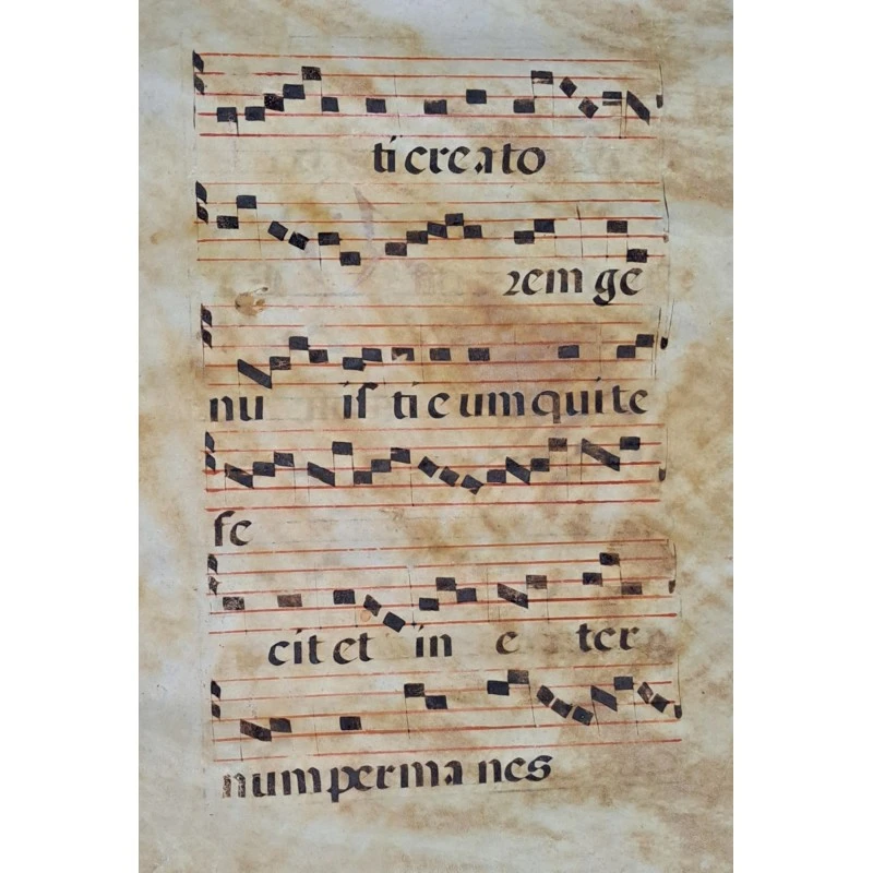 Hoja de pergamino con notación gregoriana. Siglo XV–XVI, Siglo XV