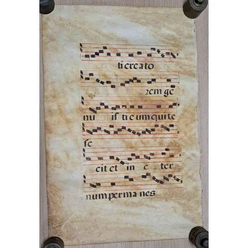 Hoja de pergamino con notación gregoriana. Siglo XV–XVI, Siglo XV · vista 2/9