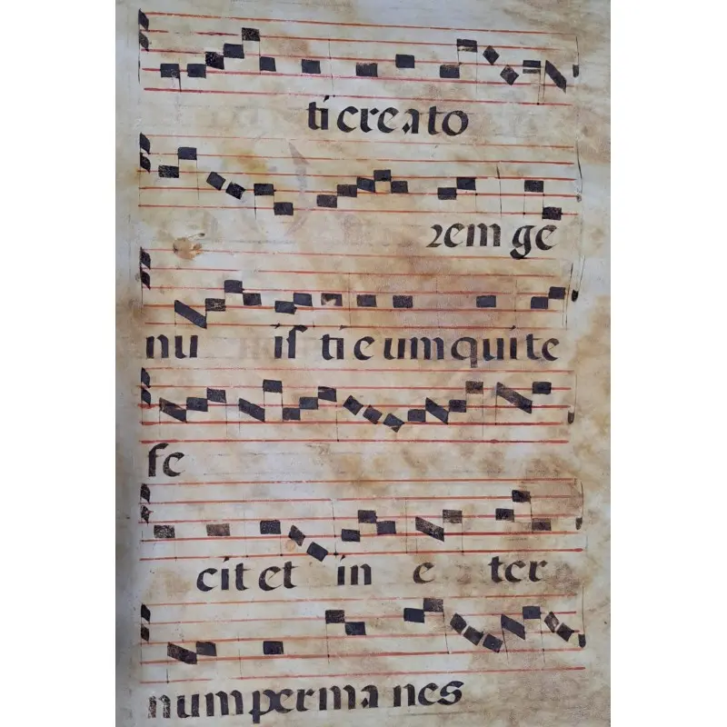 Hoja de pergamino con notación gregoriana. Siglo XV–XVI, Siglo XV · vista 3/9