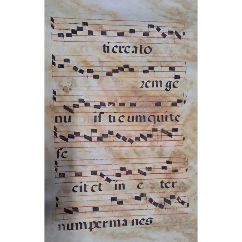Hoja de pergamino con notación gregoriana. Siglo XV–XVI, Siglo XV · vista 4/9