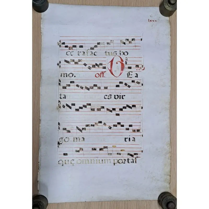 Hoja de pergamino con notación gregoriana. Siglo XV–XVI, Siglo XV · vista 5/9