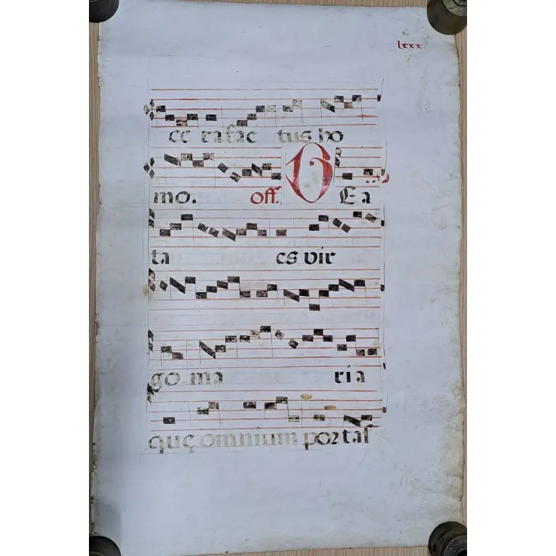 Hoja de pergamino con notación gregoriana. Siglo XV–XVI, Siglo XV · vista 6/9