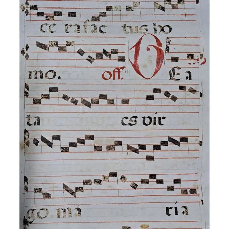Hoja de pergamino con notación gregoriana. Siglo XV–XVI, Siglo XV · vista 8/9