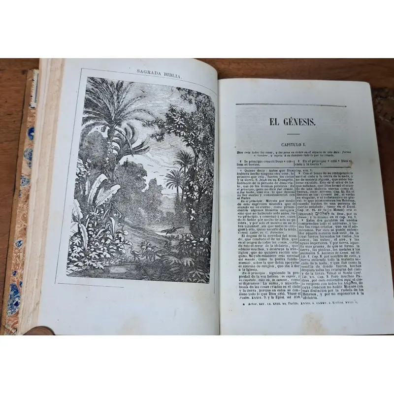 La Sagrada Biblia. Antiguo testamento completo. año 1858 · vista 5/12