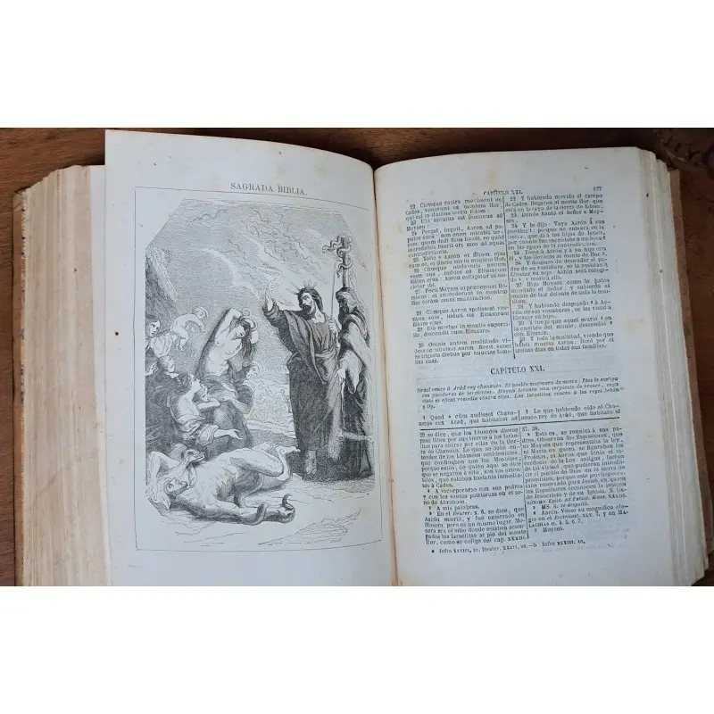La Sagrada Biblia. Antiguo testamento completo. año 1858 · vista 8/12