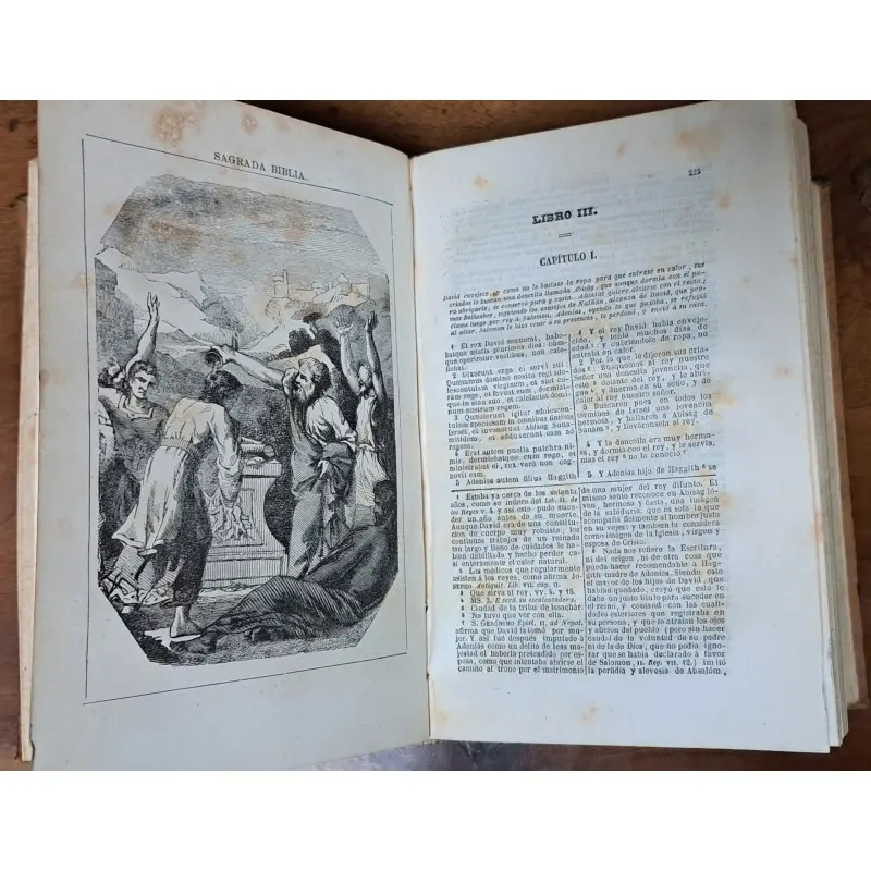 La Sagrada Biblia. Antiguo testamento completo. año 1858 · vista 10/12