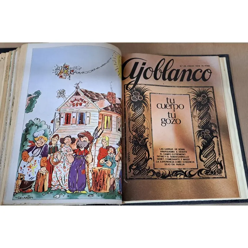 Revistas Ajoblanco 32 números, desde 1977 a 1980 · vista 7/12
